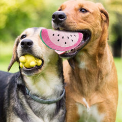 Puppy Dog Plush Squeaky Toys Bite-Resistant Bone