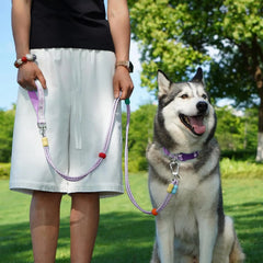 Dog Leash And Collar Set With Airtag