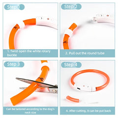 Super Bright LED Dog Collar, USB Rechargeable