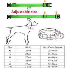 LED Glowing Dog Collar Adjustable Flashing Rechargea