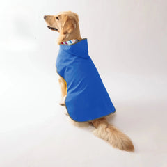 Keep Your Pup Dry Stylish: Double-Layer Yellow