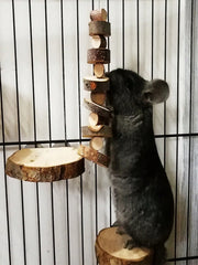 1Pc-Simple Wooden Apple Wood Chew Toy Rabbit