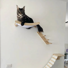 Cat Hammock And Stairway With Sisal Rope