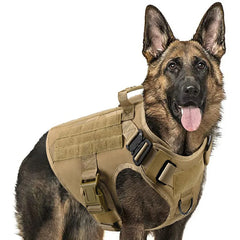 Large Dog Harness And Leash Set Pet