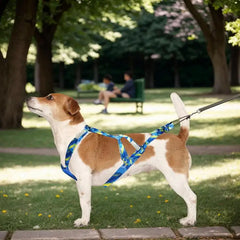 Pulling Harness For Dogs Puppy Adjustable Reflective