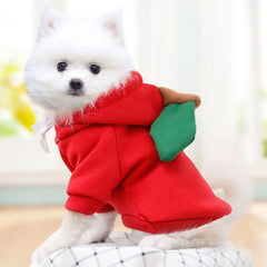 Cute Fruit Dog For Small Hoodies Warm