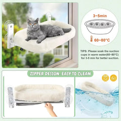 Winter Cat Hammock Window Habitat Sunbathing Glass