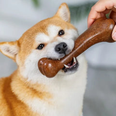 Natural Non-Toxic Indestructible Dog Bone Chew Toy