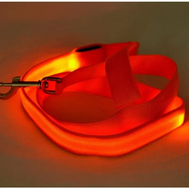 Flashing Leash Rope Harness Collar Electronic Glowing
