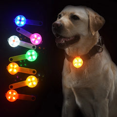 LED Pet Dog Cat Collar Pendant Night