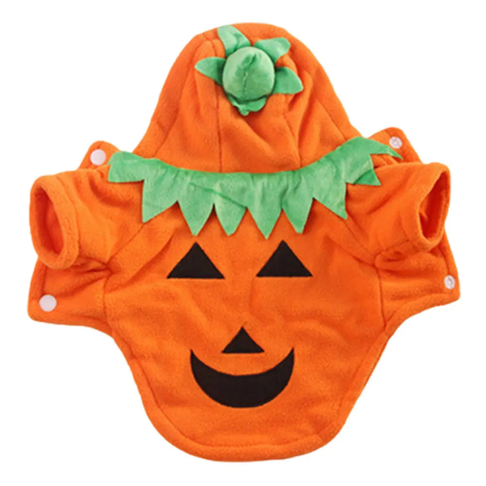 Halloween Cute Warm Pumpkin Dog Breathable Orange