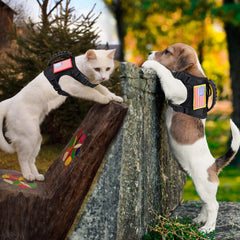 Tactical Puppy Harness Leash Set For Small