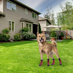 4Pcs/Set Pet Socks Foot Cover Cat