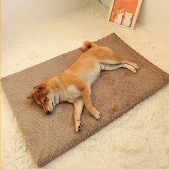 3D Foam Pet Bed With Removable Washable